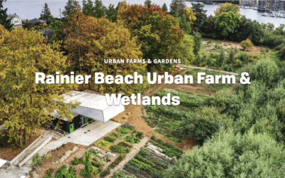 Rainier Beach Urban Farm Plant Sale